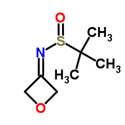 3-[(叔丁基亚磺酰基)亚氨基]氧杂环丁烷结构式