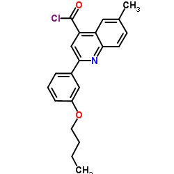 2-(3-Butoxyphenyl)-6-methyl-4-quinolinecarbonyl chloride结构式