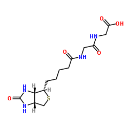 BIOTINYL-GLY-GLY-OH structure