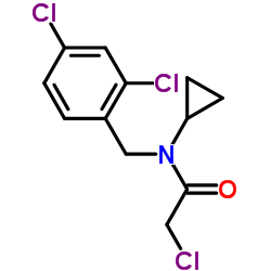 2-Chloro-N-cyclopropyl-N-(2,4-dichlorobenzyl)acetamide结构式