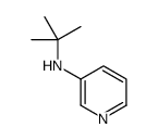3-Pyridinamine,N-(1,1-dimethylethyl)-(9CI)结构式