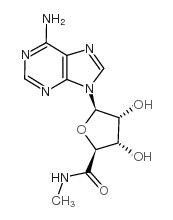 b-D-Ribofuranuronamide,1-(6-amino-9H-purin-9-yl)-1-deoxy-N-methyl-结构式