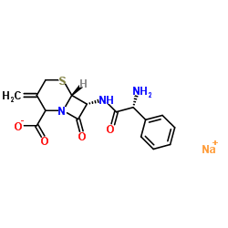 [6R-[6α,7β(R *)]]-7-[((氨基苯基乙酰基)氨基]-3-亚甲基-8-氧代-5-硫杂-1-氮杂双环[4.2.0]辛烷-2-羧酸钠盐结构式