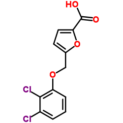 5-[(2,3-Dichlorophenoxy)methyl]-2-furoic acid结构式