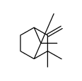 3,3,7,7-tetramethyl-2-methylidenebicyclo[2.2.1]heptane结构式