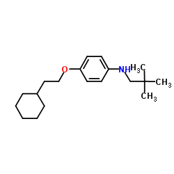 4-(2-Cyclohexylethoxy)-N-(2,2-dimethylpropyl)aniline Structure