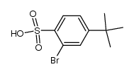 2-Bromo-4-tert-butylbenzenesulfonic acid结构式