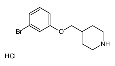 4-[(3-bromophenoxy)methyl]piperidine,hydrochloride Structure