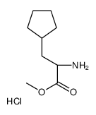 (S)-METHYL 2-AMINO-3-CYCLOPENTYLPROPANOATE HYDROCHLORIDE Structure