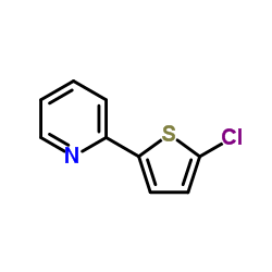 2-(5-Chlorothiophen-2-yl)pyridine结构式