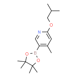 2-Isobutoxy-4-methyl-5-(4,4,5,5-tetramethyl-1,3,2-dioxaborolan-2-yl)pyridine structure