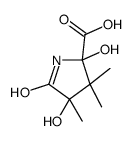 2,4-dihydroxy-3,3,4-trimethylpyroglutamic acid结构式