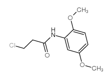 3-chloro-N-(2,5-dimethoxyphenyl)propanamide结构式