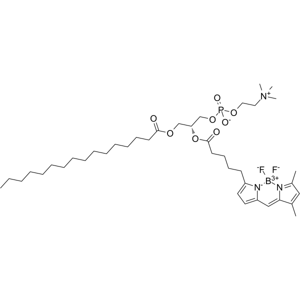 BODIPY FL C5-HPC结构式