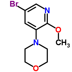 4-(5-Bromo-2-methoxy-3-pyridinyl)morpholine结构式