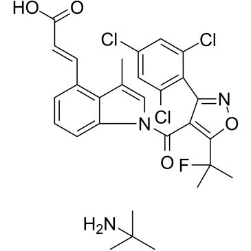 DS-1001b Structure