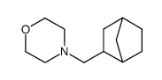 Morpholine, 4-(bicyclo[2.2.1]hept-2-ylmethyl)- (9CI)结构式