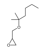 2-(2-methylhexan-2-yloxymethyl)oxirane Structure