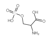 2-amino-3-sulfooxypropanoic acid结构式