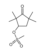2,2,4,4-tetramethyl-3-oxocyclopentyl methanesulfonate结构式