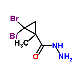 2,2-Dibromo-1-methylcyclopropanecarbohydrazide结构式