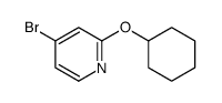 4-bromo-2-(cyclohexyloxy)pyridine Structure