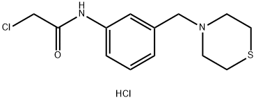 2-氯-N-[3-(硫代吗啉-4-基甲基)苯基]乙酰胺盐酸盐结构式