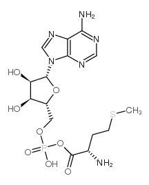 methioninyl adenylate Structure