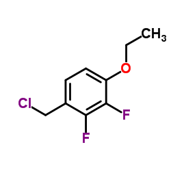 1-(Chloromethyl)-4-ethoxy-2,3-difluorobenzene Structure