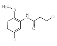 3-Chloro-N-(5-chloro-2-methoxyphenyl)propanamide picture