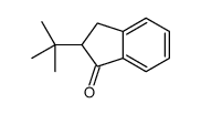 2-tert-butyl-2,3-dihydroinden-1-one Structure