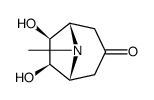 (1S,5R)-6β,7β-Dihydroxy-8-methyl-8-azabicyclo[3.2.1]octan-3-one结构式