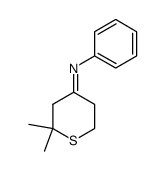(E)-2,2-dimethyl-N-phenyltetrahydro-4H-thiopyran-4-imine结构式