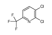 2,3-Dichloro-6-(trifluoromethyl)pyridine picture