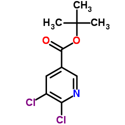 2-Methyl-2-propanyl 5,6-dichloronicotinate Structure