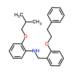 2-Isobutoxy-N-[2-(2-phenylethoxy)benzyl]aniline结构式