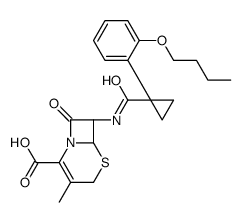 (6R,7R)-7-[[1-(2-butoxyphenyl)cyclopropanecarbonyl]amino]-3-methyl-8-oxo-5-thia-1-azabicyclo[4.2.0]oct-2-ene-2-carboxylic acid Structure