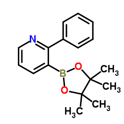 2-苯基-3-(4,4,5,5-四甲基-1,3,2-二氧硼戊烷-2-基)吡啶结构式