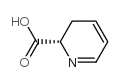 2-Pyridinecarboxylicacid,2,3-dihydro-,(S)-(9CI)结构式