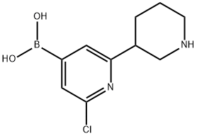 2-Chloro-6-(piperidin-3-yl)pyridine-4-boronic acid图片