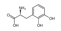 (S)-2-AMINO-3-(2,3-DIHYDROXYPHENYL)PROPANOIC ACID picture