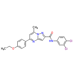 N-(3,4-Dichlorophenyl)-5-(4-ethoxyphenyl)-7-methylpyrazolo[1,5-a]pyrimidine-2-carboxamide结构式