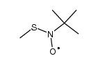 Methylthio-t-butylnitroxidradikal结构式