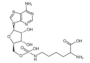 adenylyl-(5'-->Nε)-lysine结构式