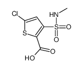 5-chloro-3-(methylsulfamoyl)thiophene-2-carboxylic acid结构式