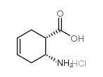 (1S,2R)-(-)-2-Amino-1-cyclohex-4-enecarboxylic acid hydrochloride Structure