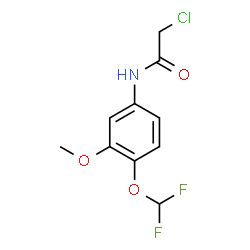 2-CHLORO-N-(4-DIFLUOROMETHOXY-3-METHOXY-PHENYL)-ACETAMIDE structure