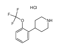 Piperidine, 4-[2-(trifluoromethoxy)phenyl]- Structure