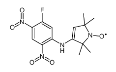 3-(5-fluoro-2,4-dinitroanilino)-1-oxyl-2,2,5,5-tetramethyl-3-pyrrolidine structure