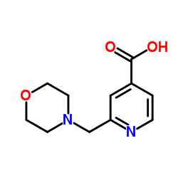 2-(4-Morpholinylmethyl)isonicotinic acid结构式